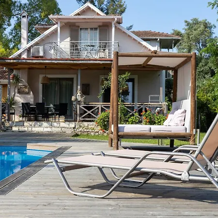 Villa Gyra - Ermis With Private Pool